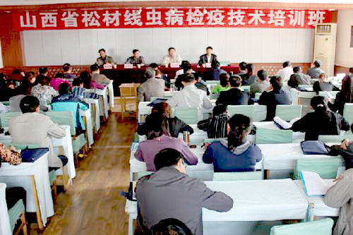 �����ɲľ�(xi��n)�x(ch��ng)���Ό�(zhu��n)�(xi��ng)�W(xu��)��(x��)����Ӗ(x��n)