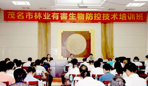���Ӵ󞳅^(q��)�֘I(y��)�к�������Ό�(zhu��n)�(xi��ng)�W(xu��)��(x��)����Ӗ(x��n)